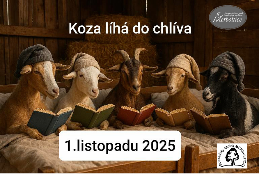 Koza líhá do chlíva 