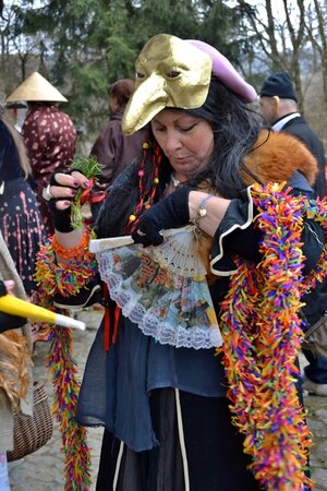 Masopust 2014