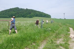 Kosení aleje ke křížku