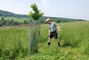 Kosení aleje ke křížku