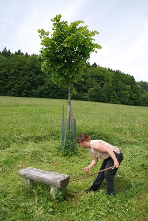 Kosení aleje ke křížku